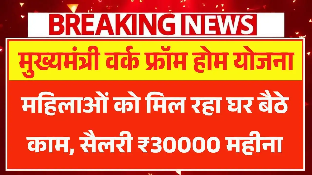 Mukhyamantri Work From Home Yojana